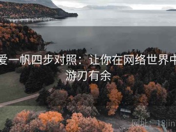 爱一帆四步对照：让你在网络世界中游刃有余