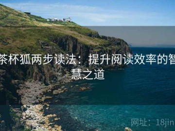 茶杯狐两步读法：提升阅读效率的智慧之道