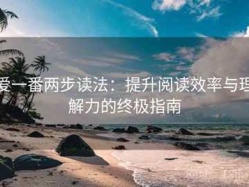 爱一番两步读法：提升阅读效率与理解力的终极指南