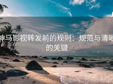 神马影视转发前的规则：规范与清晰的关键