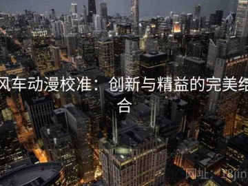 风车动漫校准：创新与精益的完美结合