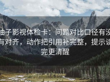 柚子影视体检卡：问题对比口径有没有对齐，动作把引用补完整，提示读完更清醒