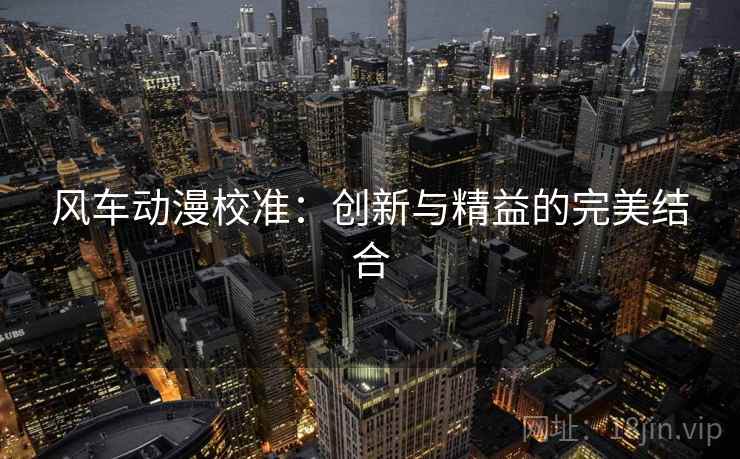 风车动漫校准：创新与精益的完美结合