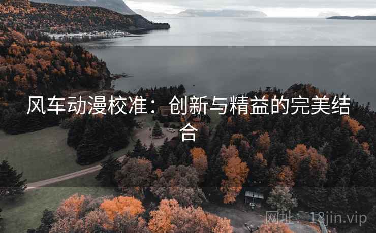 风车动漫校准：创新与精益的完美结合