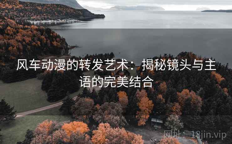 风车动漫的转发艺术：揭秘镜头与主语的完美结合