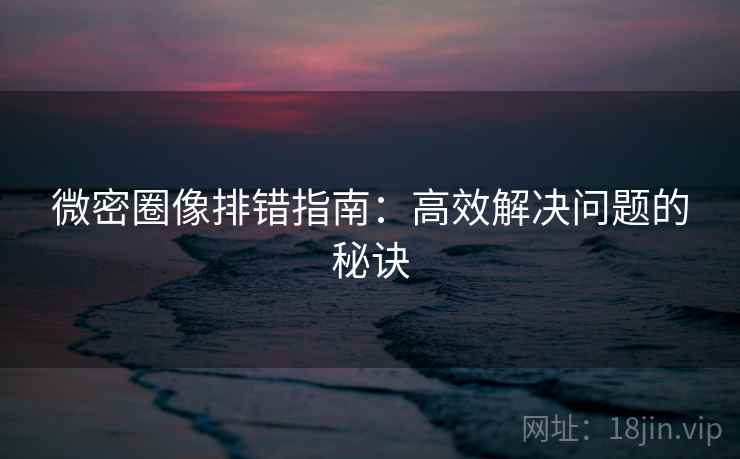 微密圈像排错指南：高效解决问题的秘诀